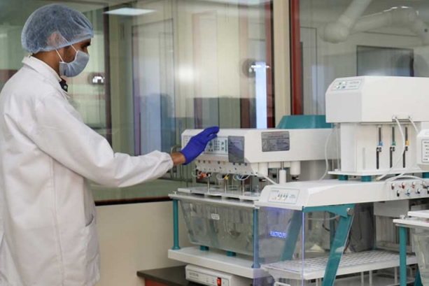 R&D Formulation Development